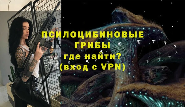 мдпв Абаза