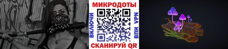 Псилоцибиновые грибы мицелий  кракен ССЫЛКА  Новочебоксарск 